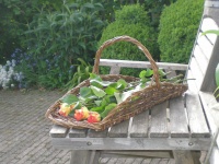 Bloemenplukmand
